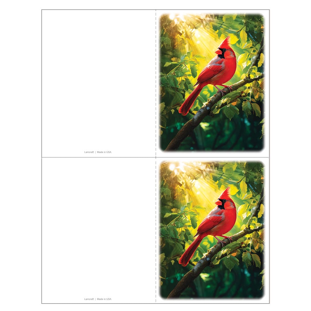 A 2-up micro-perforated memorial folder sheet, Summer Cardinal design